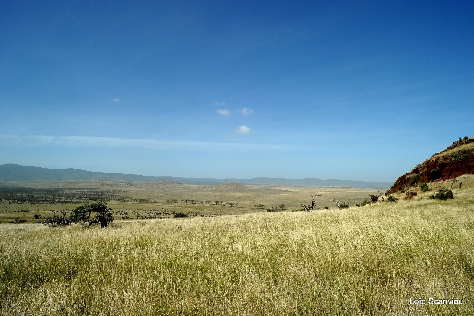 Lewa Downs (24)