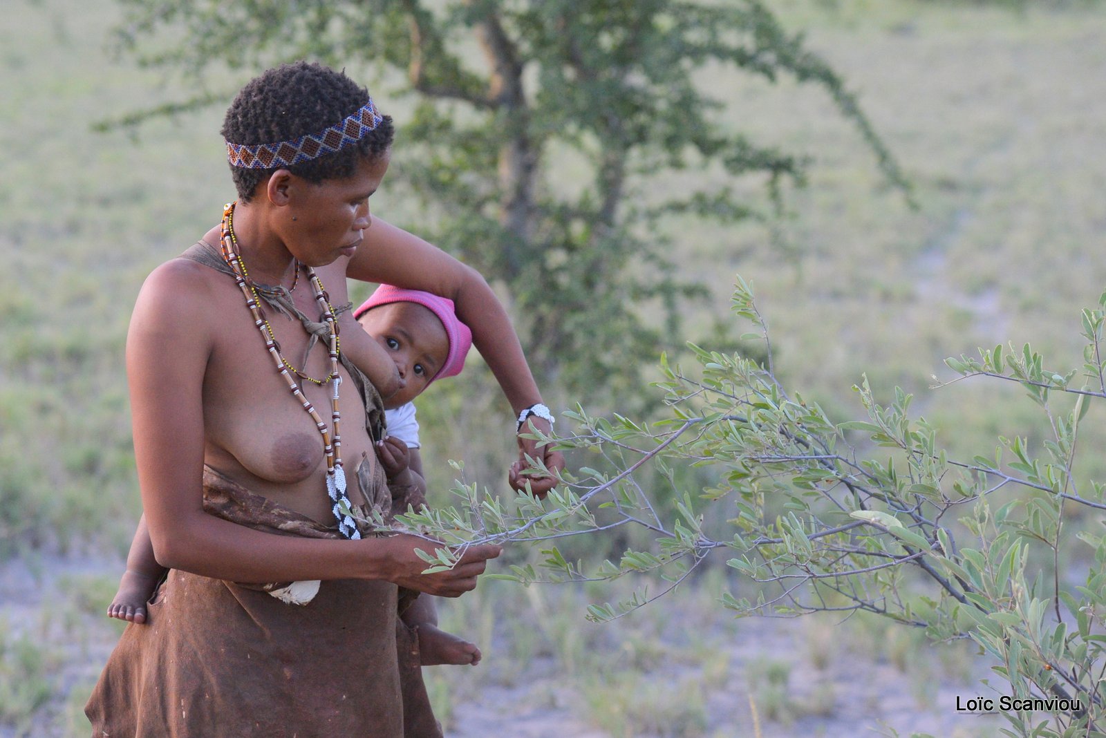 San/Bushmen (11)