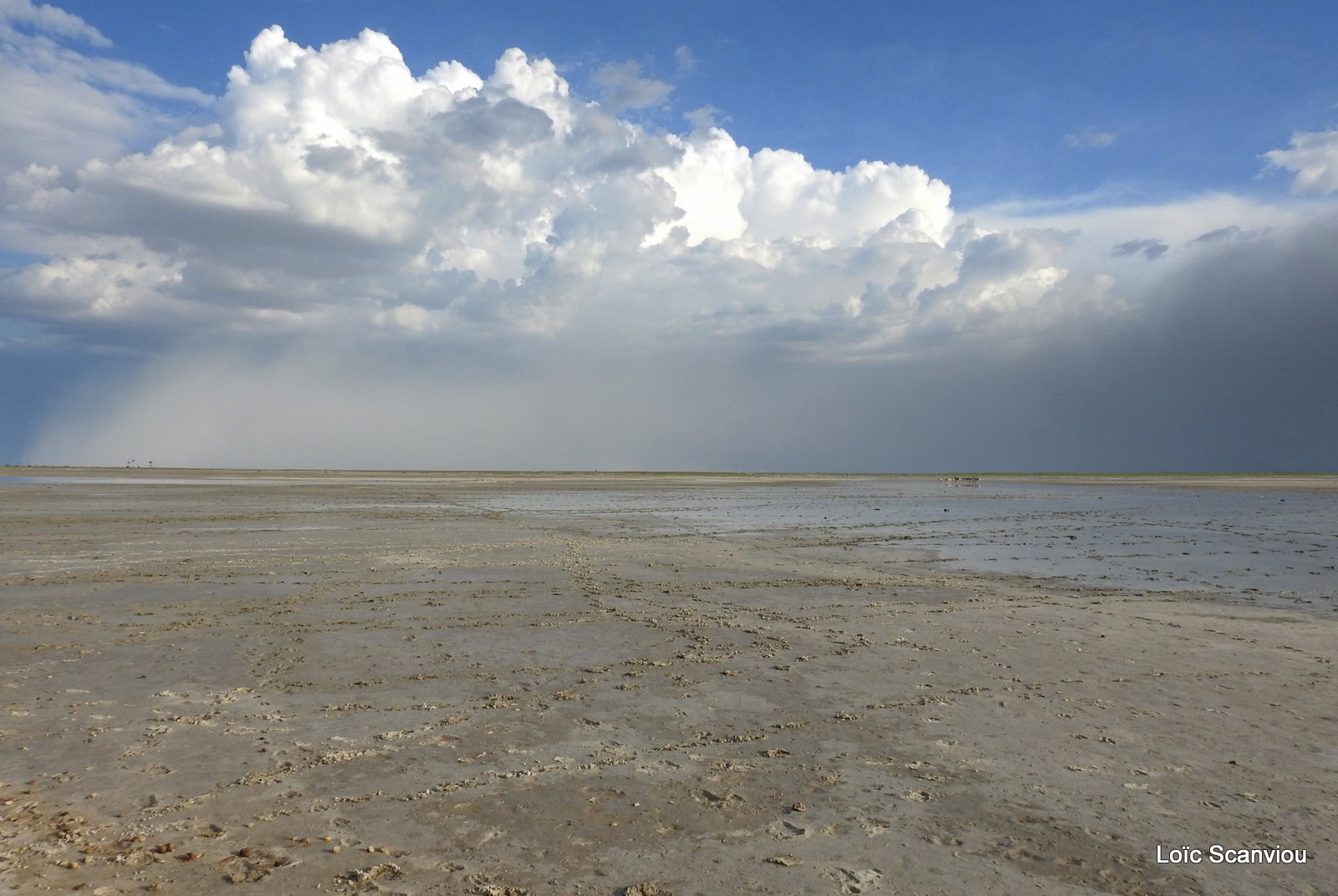 Makgadikgadi 2020 (152)