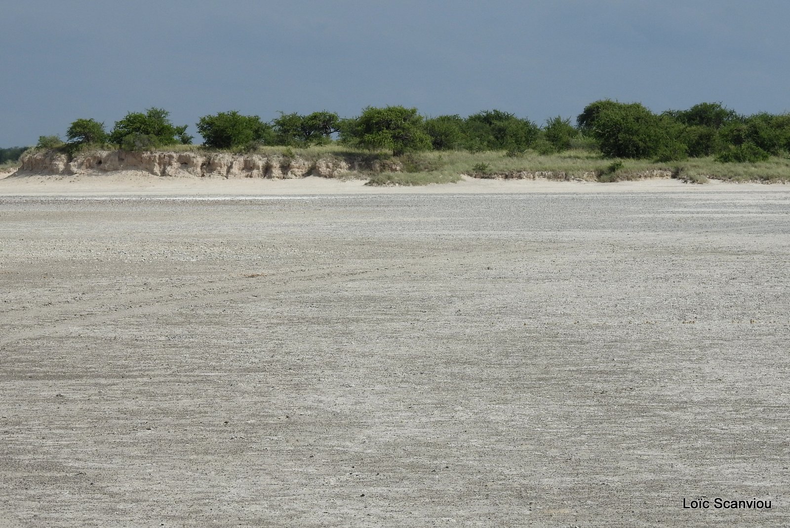 Makgadikgadi 2020 (156)