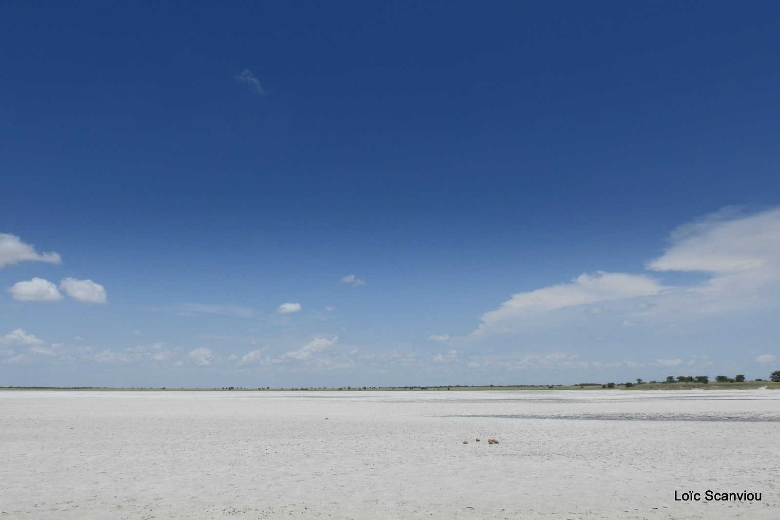 Makgadikgadi 2020 (157)