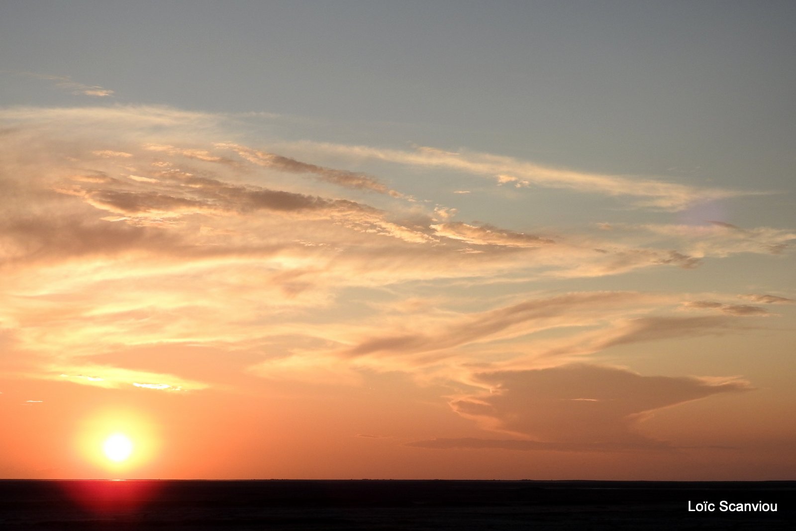 Makgadikgadi 2020 (159)