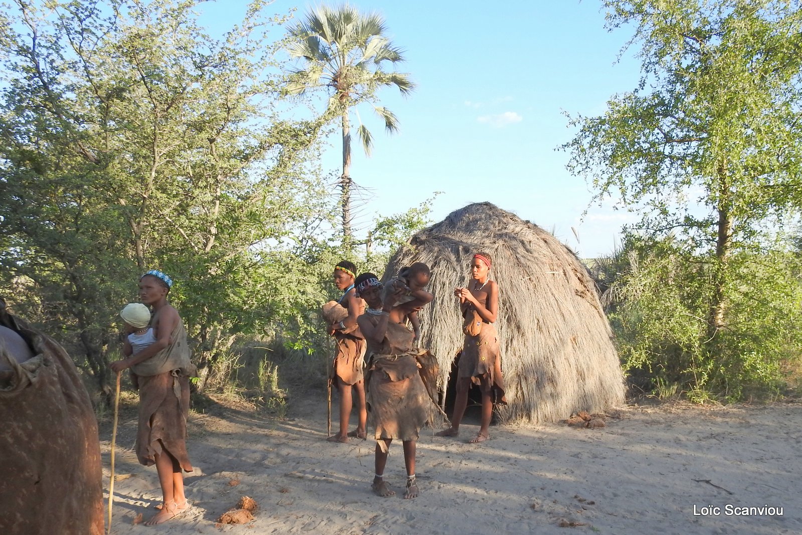 San/Bushmen (31)