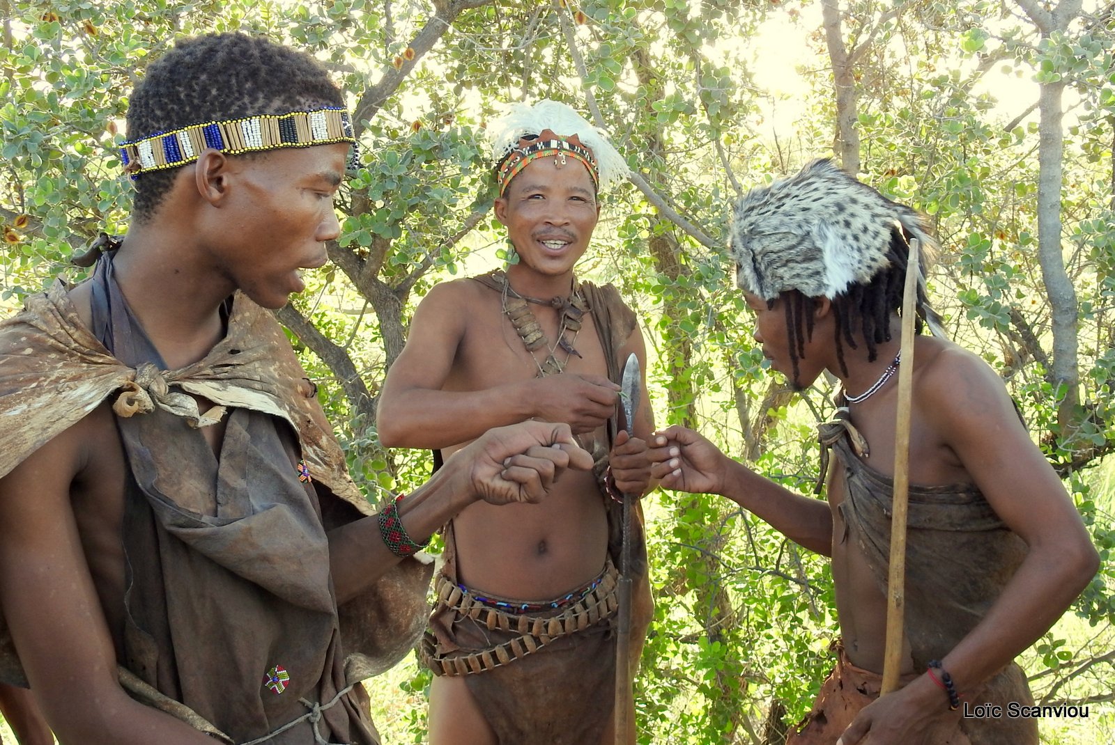 San/Bushmen (32)