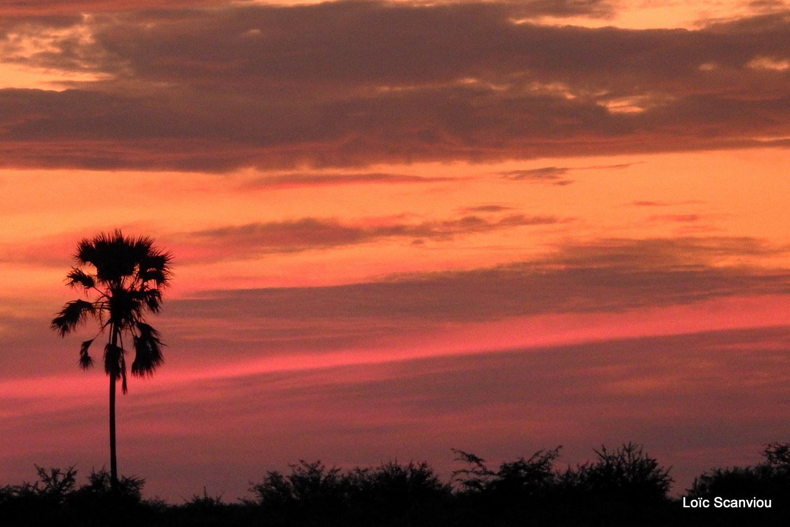 Makgadikgadi 2020 (170)