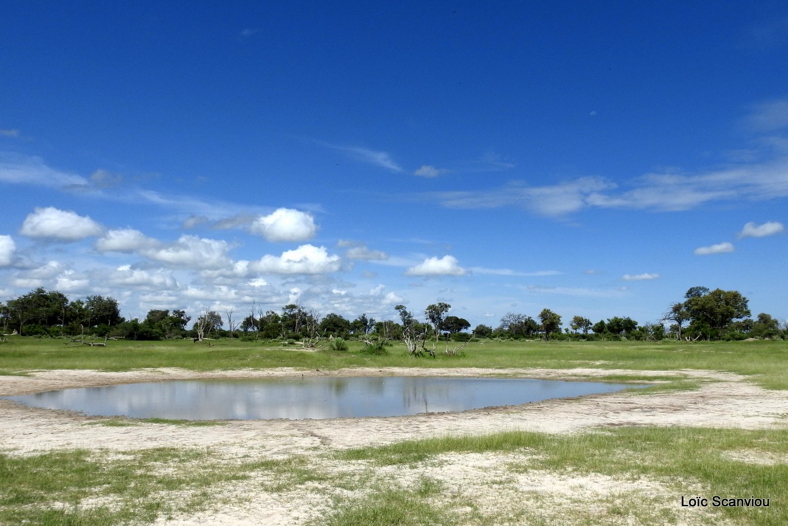 Moremi 2020 (299)