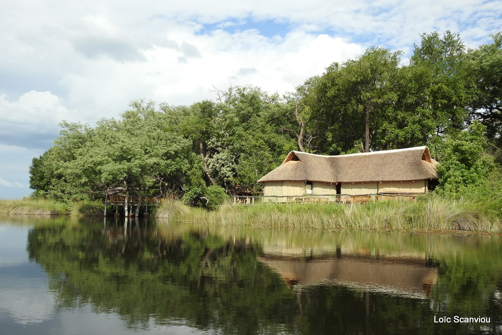 Moremi 2020 (306)