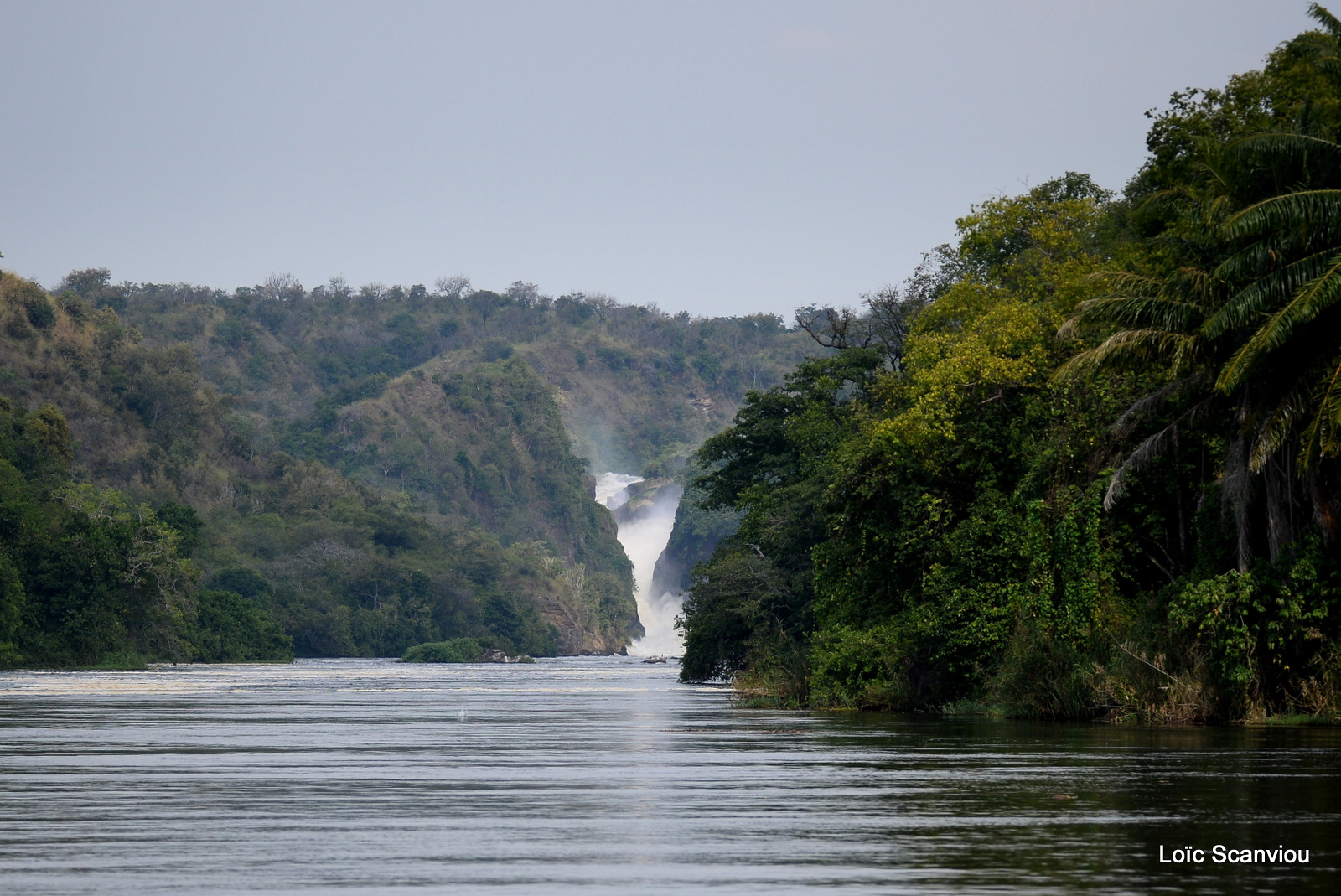 Les chutes de Murchison/Murchison Falls (1)