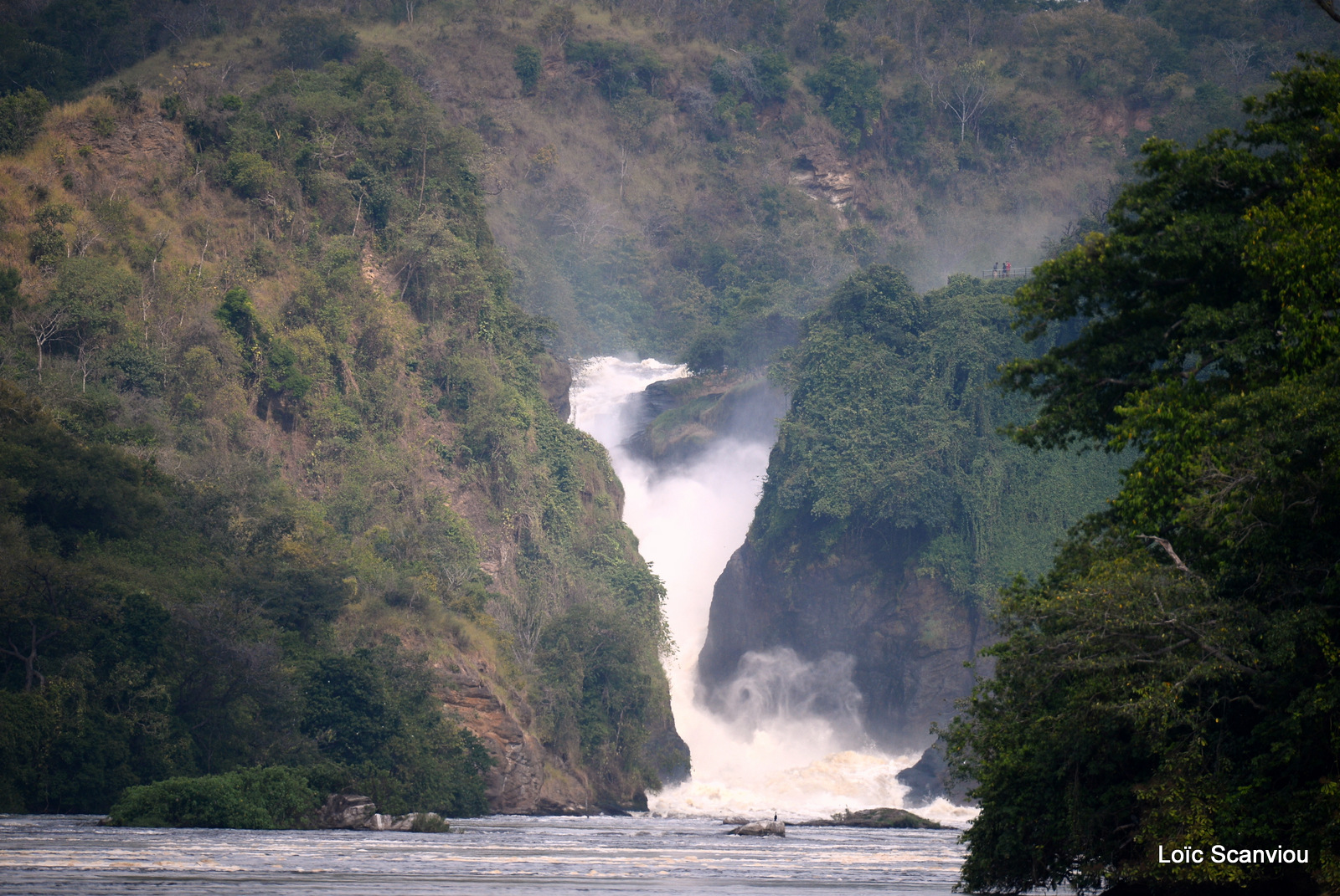 Les chutes de Murchison/Murchison Falls (2)