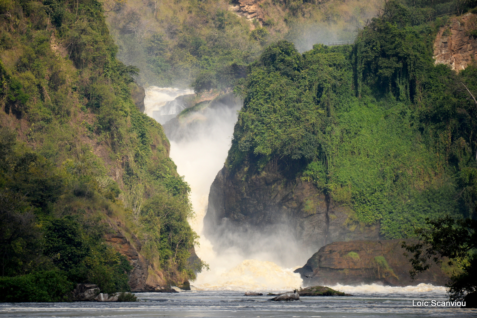 Les chutes de Murchison/Murchison Falls (6)