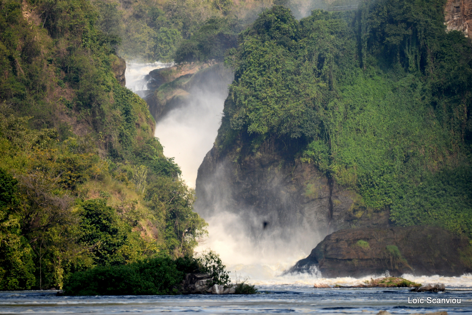 Les chutes de Murchison/Murchison Falls (15)