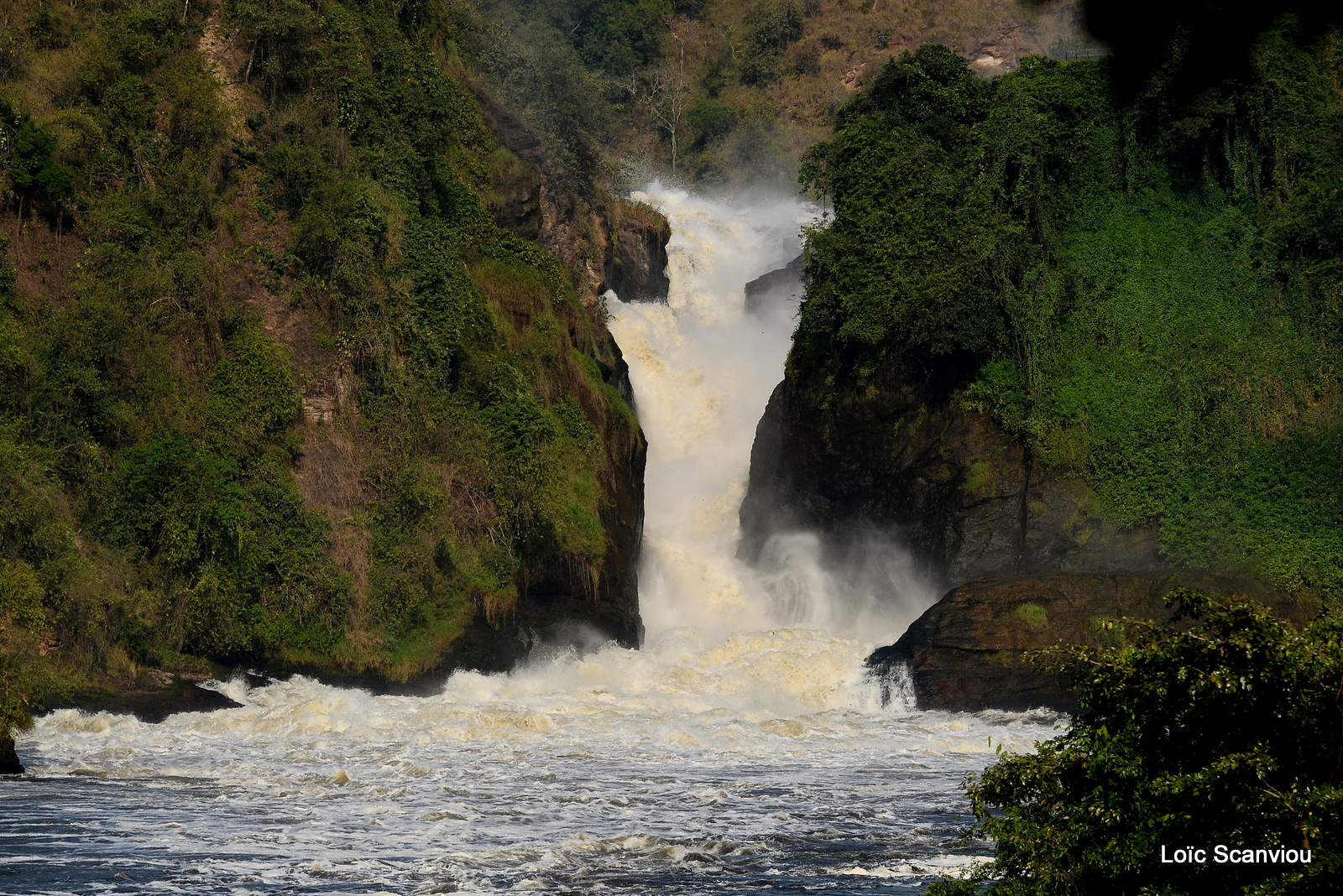 Les chutes de Murchison/Murchison Falls (17)