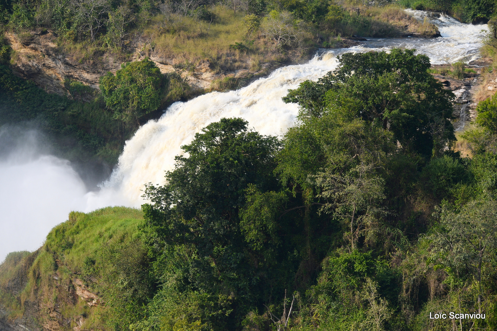 Les chutes de Murchison/Murchison Falls (19)
