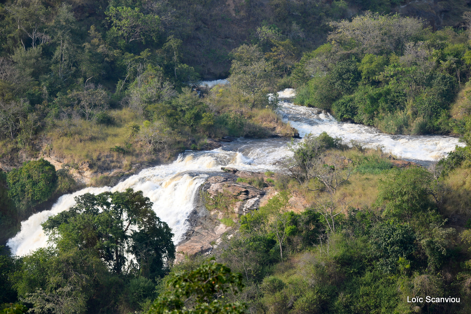 Les chutes de Murchison/Murchison Falls (20)