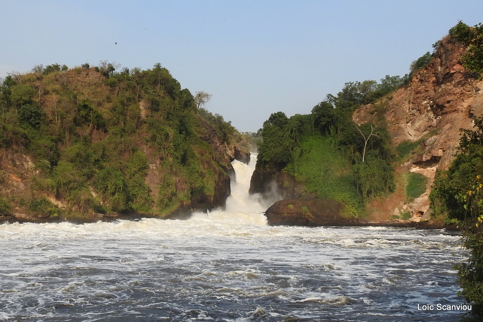 Les chutes de Murchison/Murchison Falls (25)
