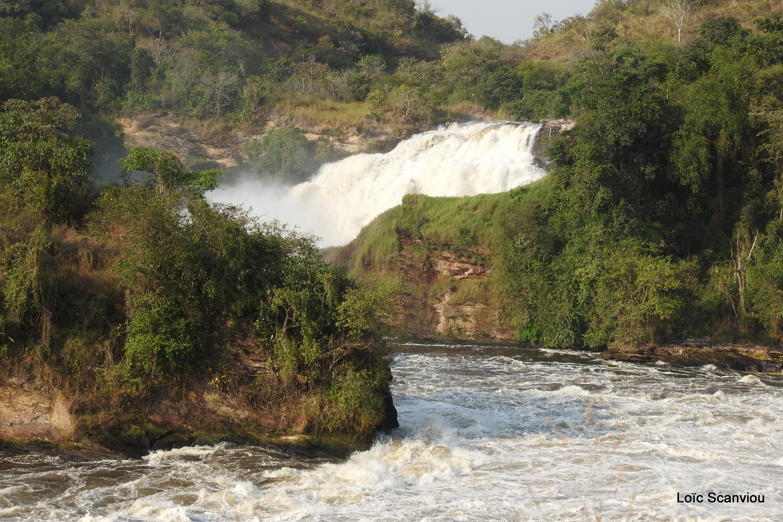 Les chutes de Murchison/Murchison Falls (29)
