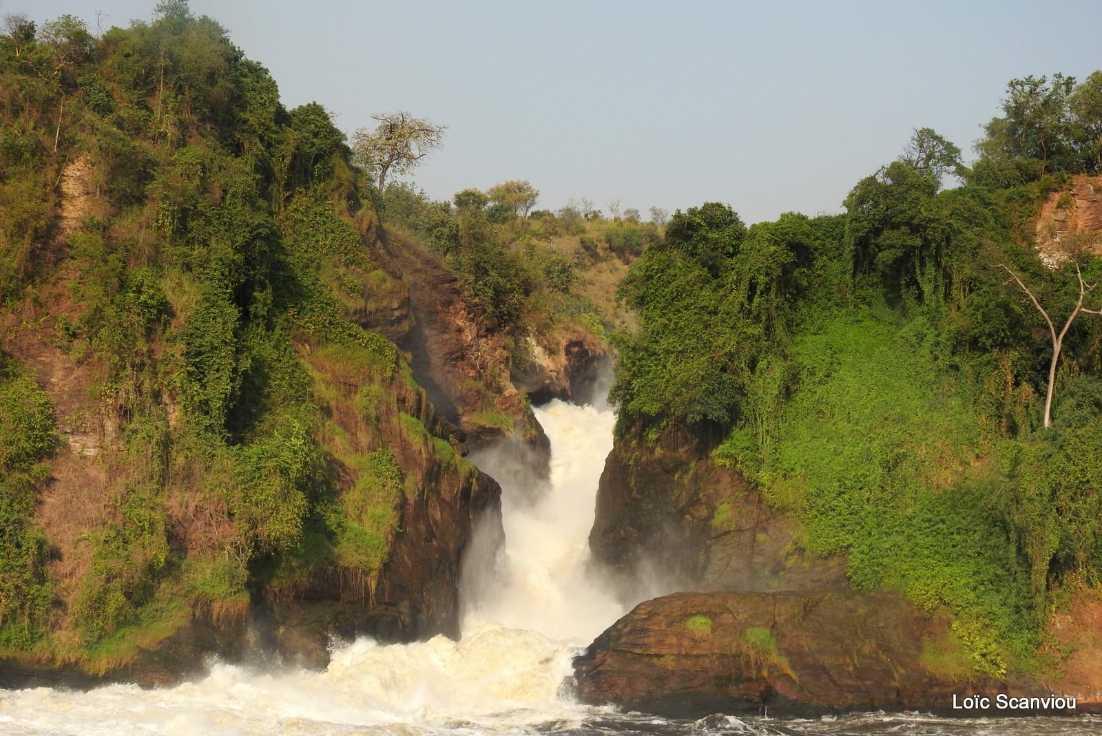 Les chutes de Murchison/Murchison Falls (30)