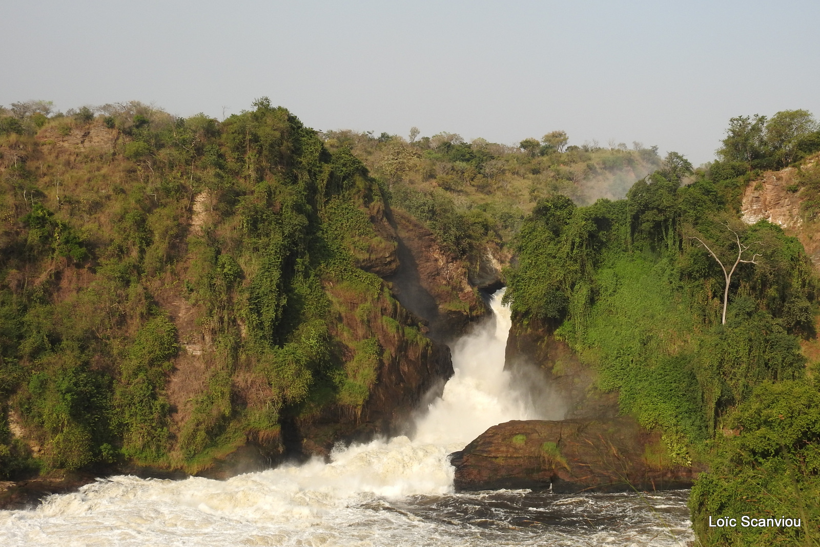 Les chutes de Murchison/Murchison Falls (33)