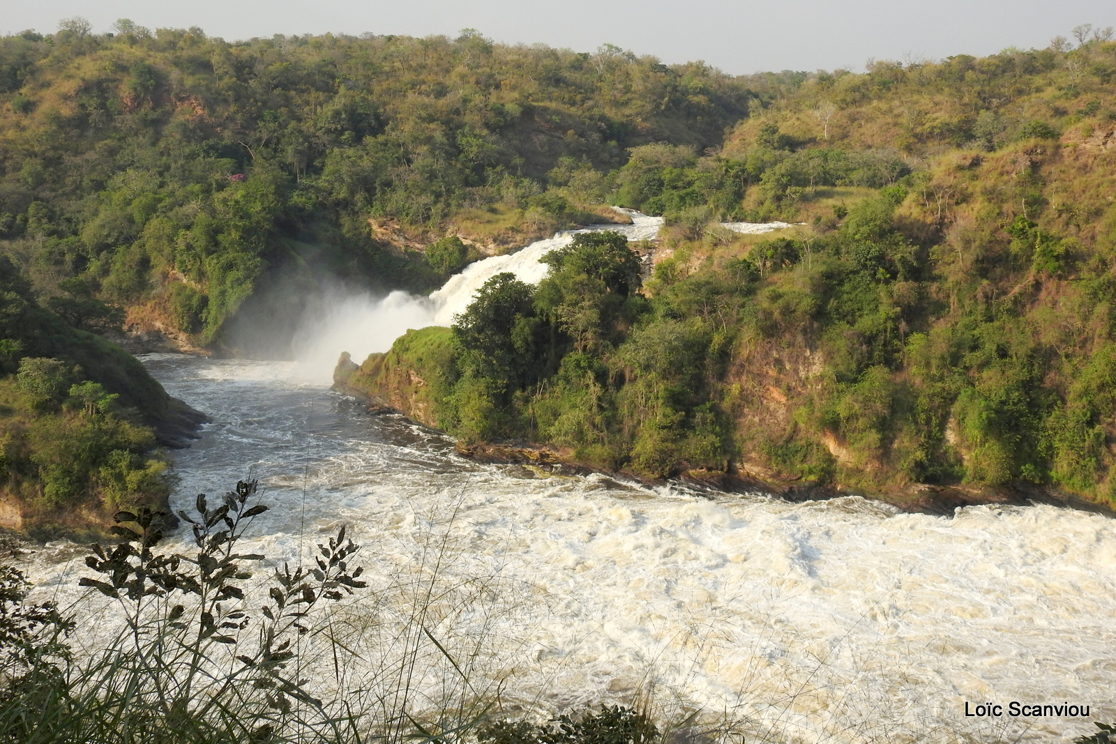 Les chutes de Murchison/Murchison Falls (34)