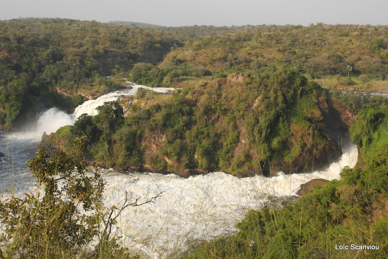 Les chutes de Murchison/Murchison Falls (35)