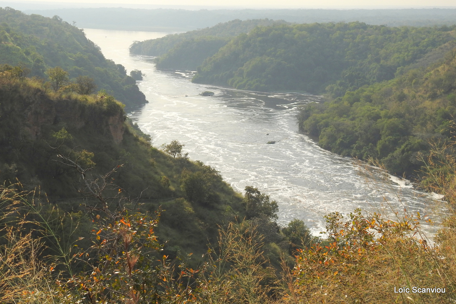 Les chutes de Murchison/Murchison Falls (36)