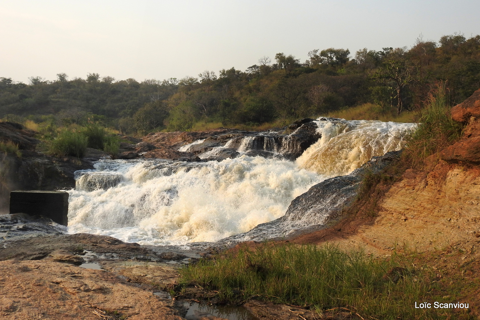 Les chutes de Murchison/Murchison Falls (37)