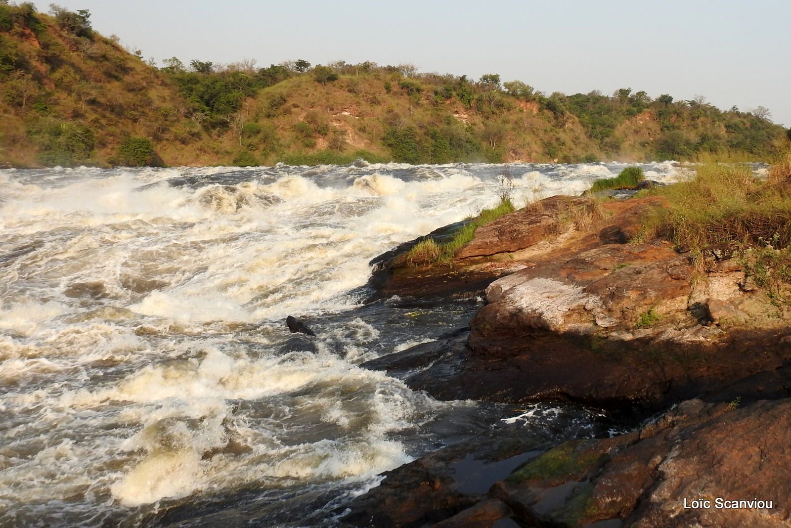 Les chutes de Murchison/Murchison Falls (38)