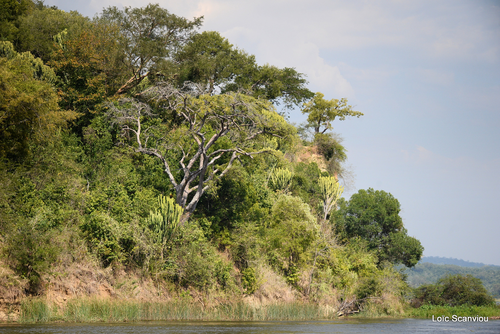 Murchison Falls (87)