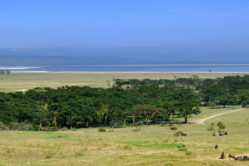 Nakuru (7)