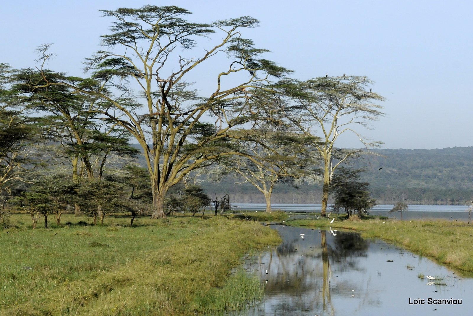 Nakuru (5)