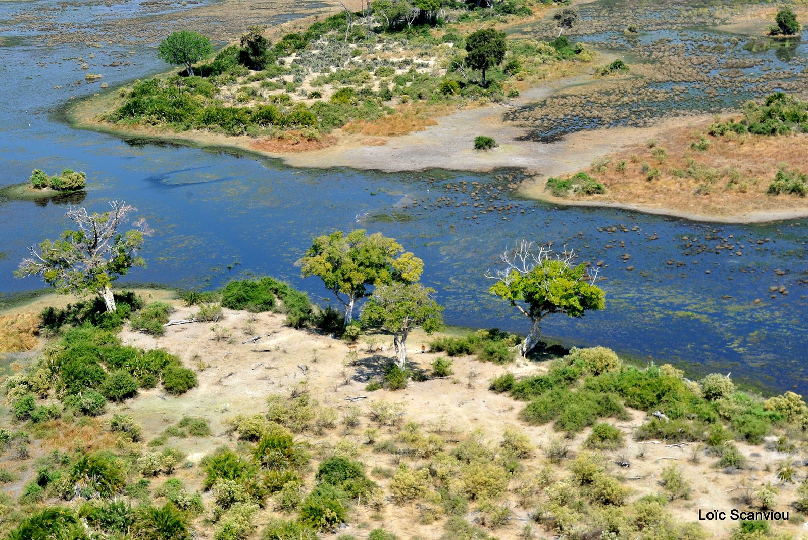 Okavango (1)