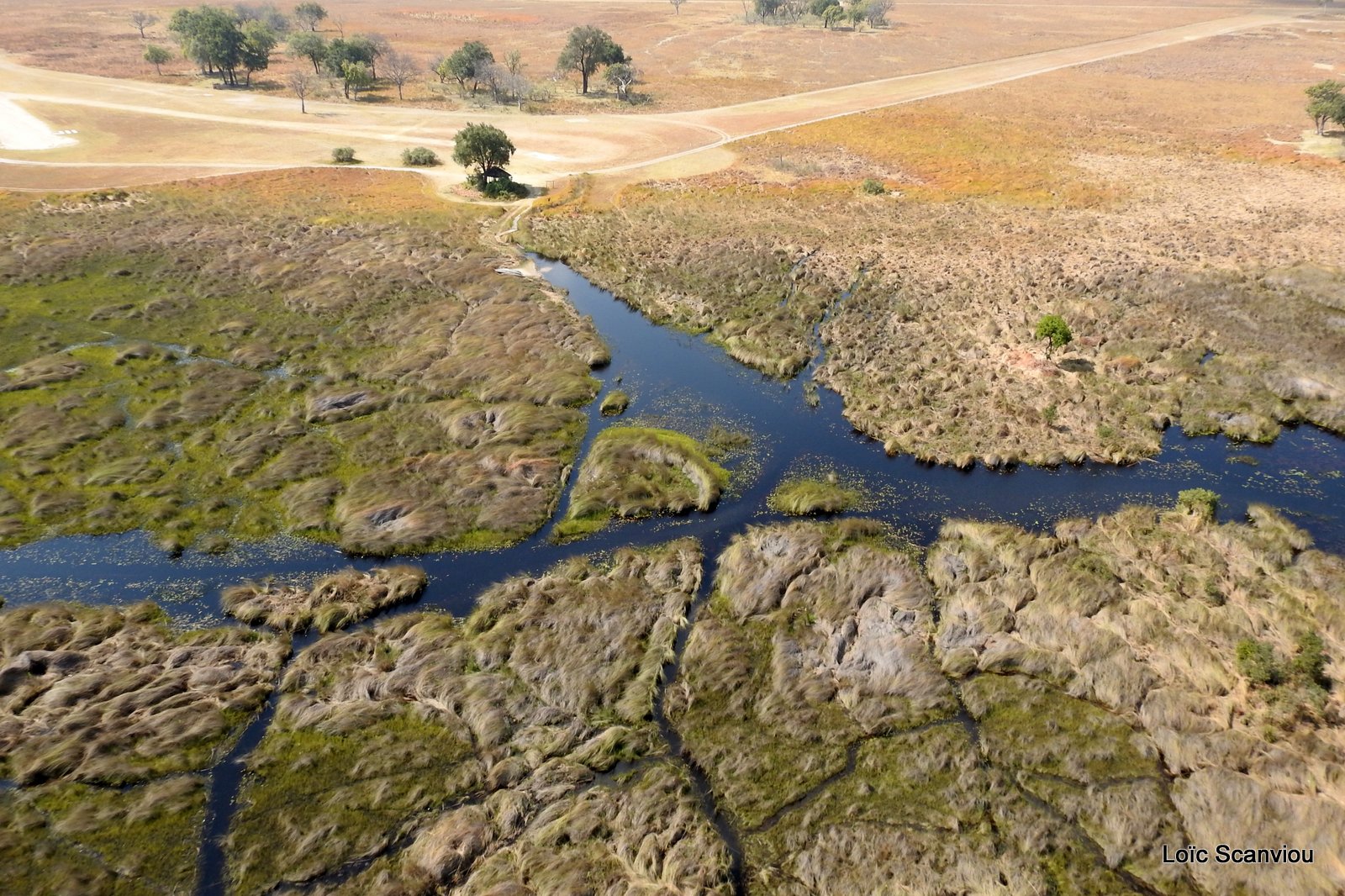 Okavango (101)