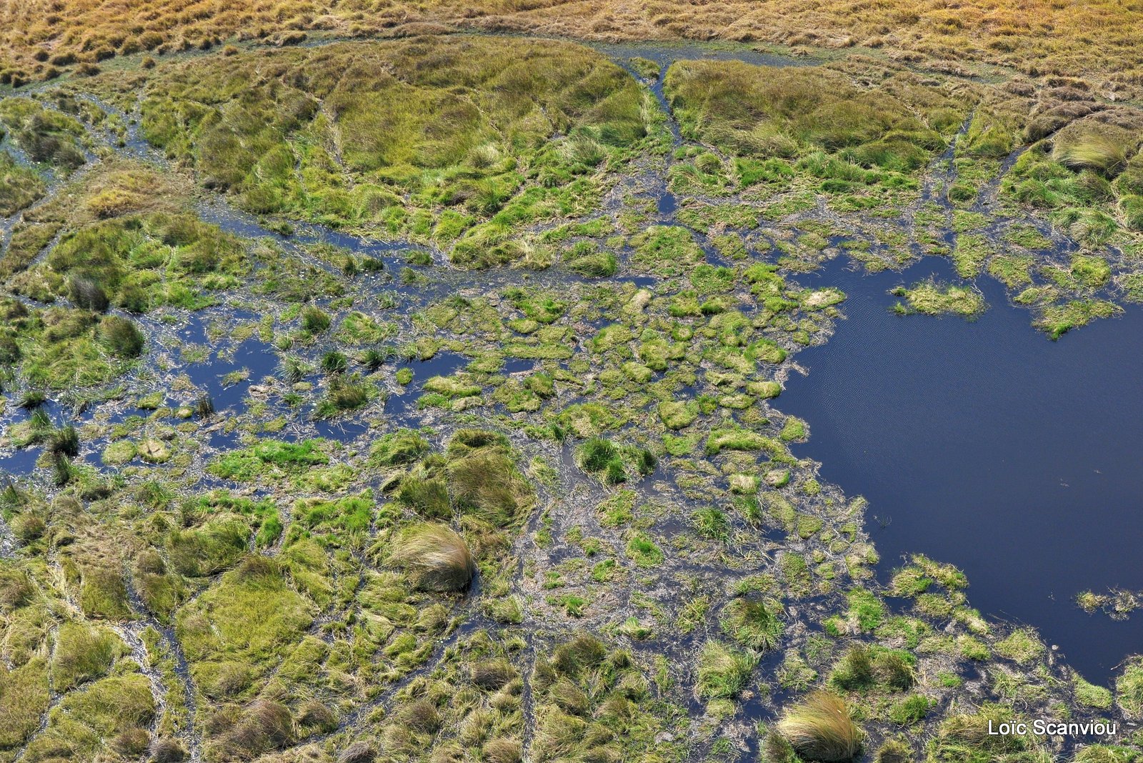 Okavango (14)