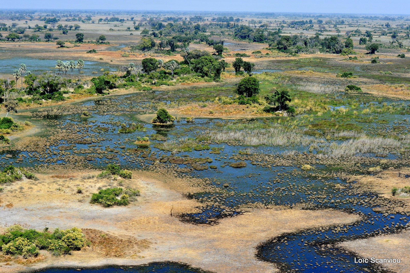 Okavango (2)