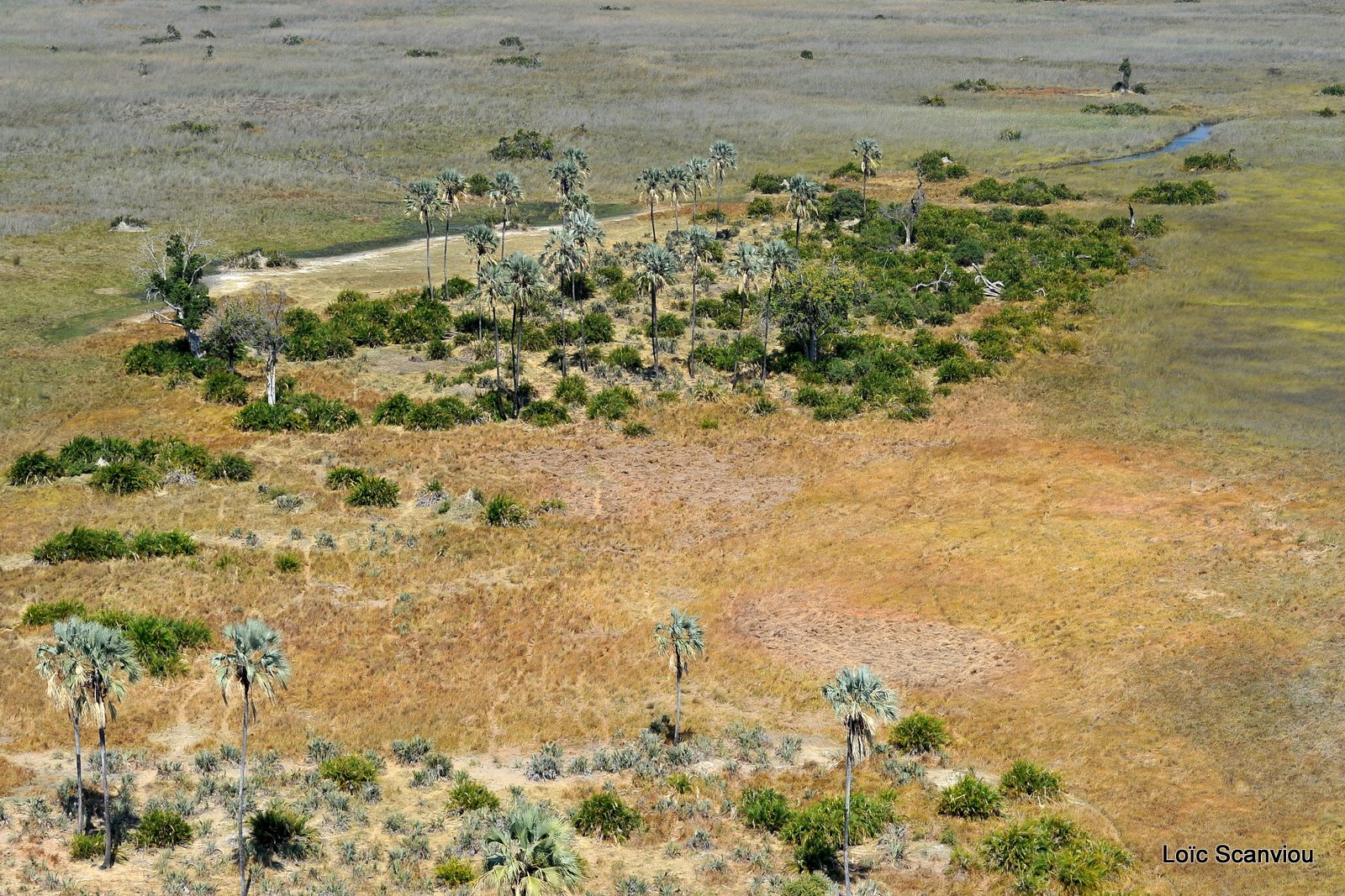 Okavango (5)