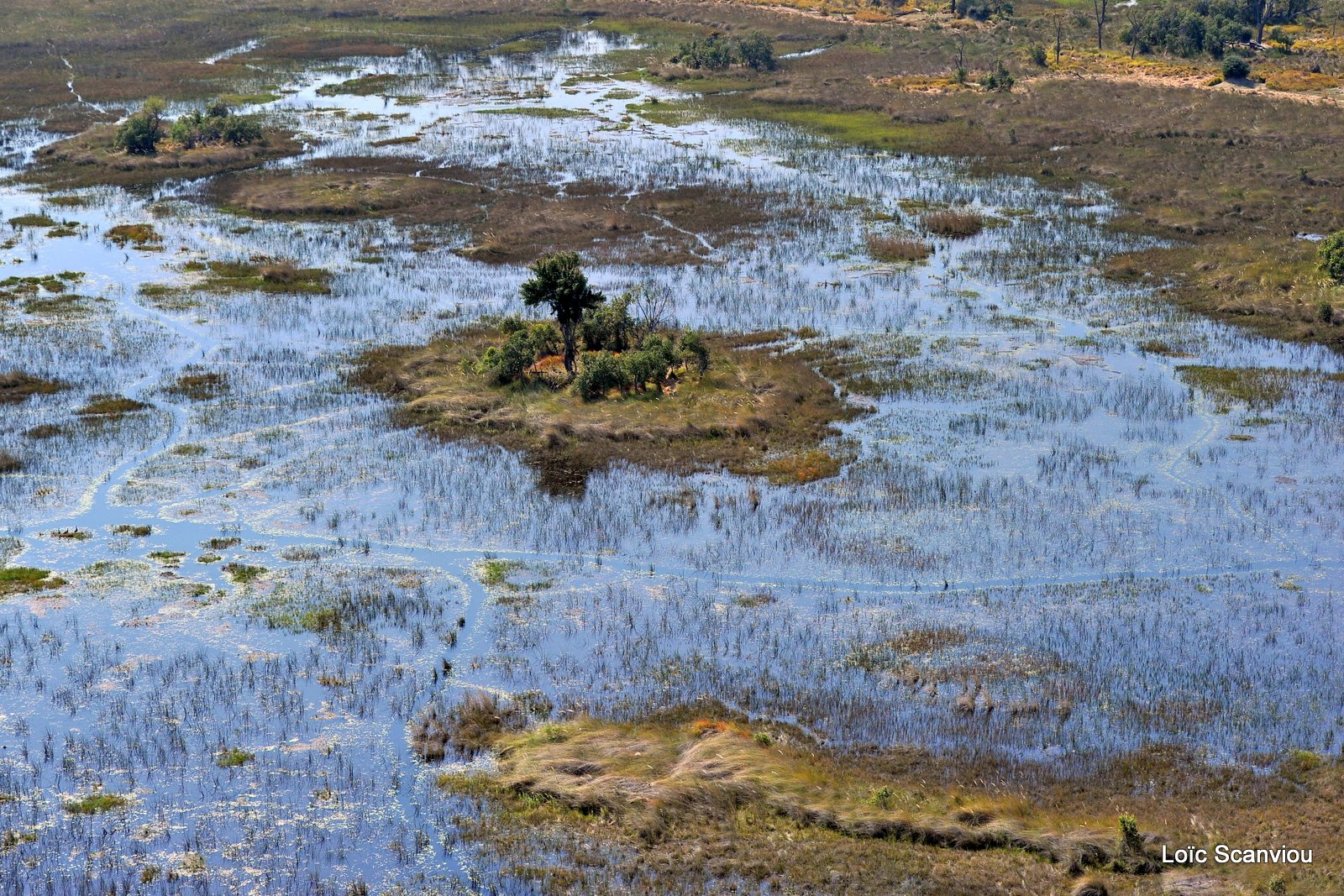 Okavango (7)