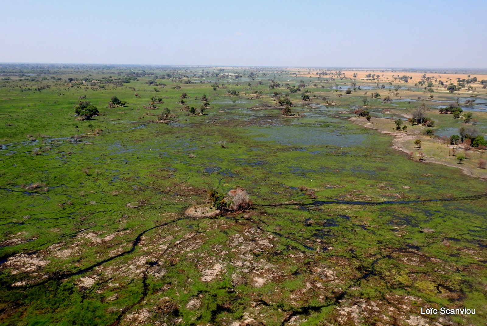 Okavango (71)