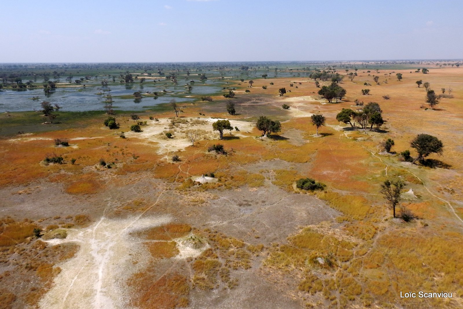 Okavango (72)
