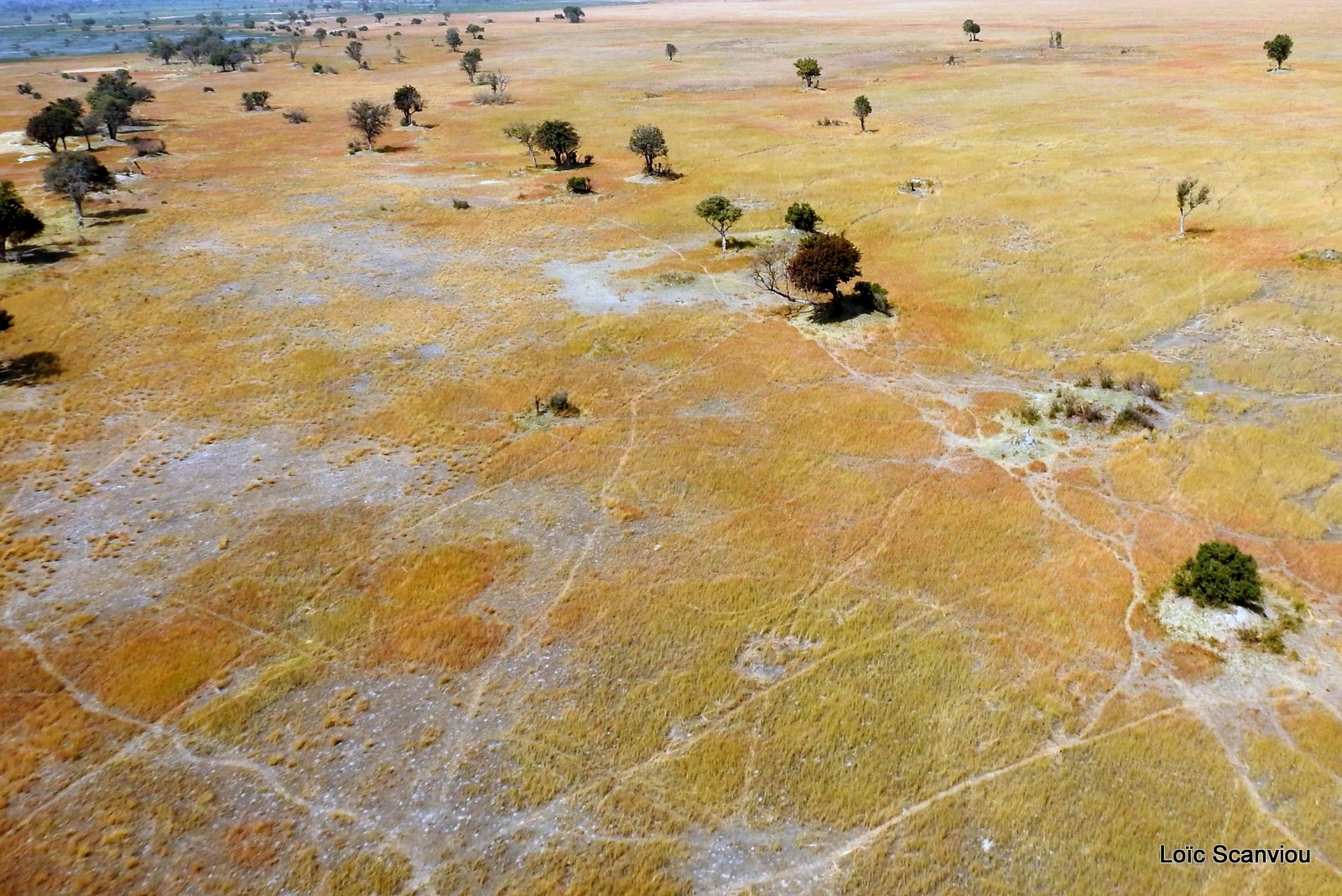 Okavango (73)