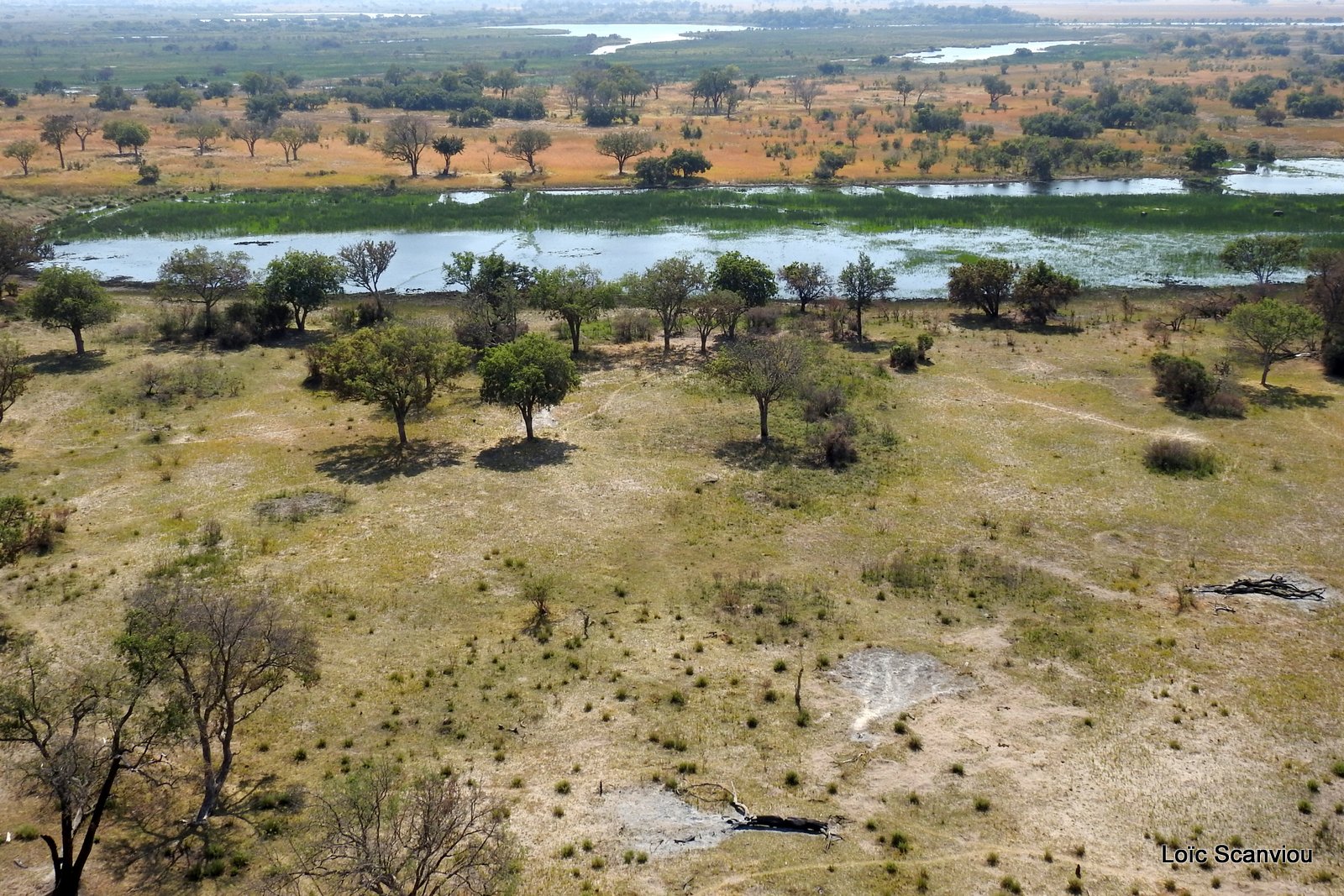 Okavango (74)