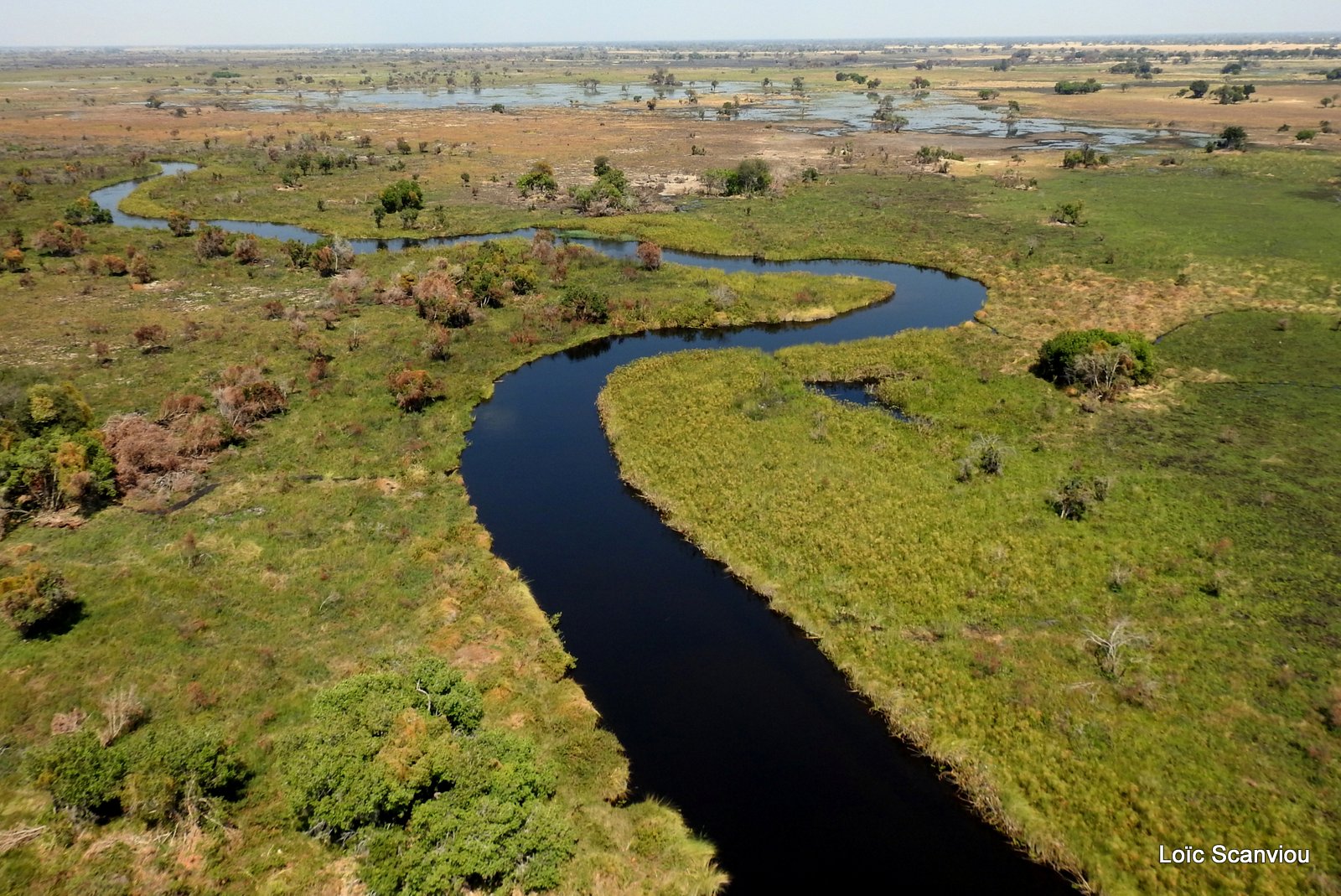 Okavango (76)