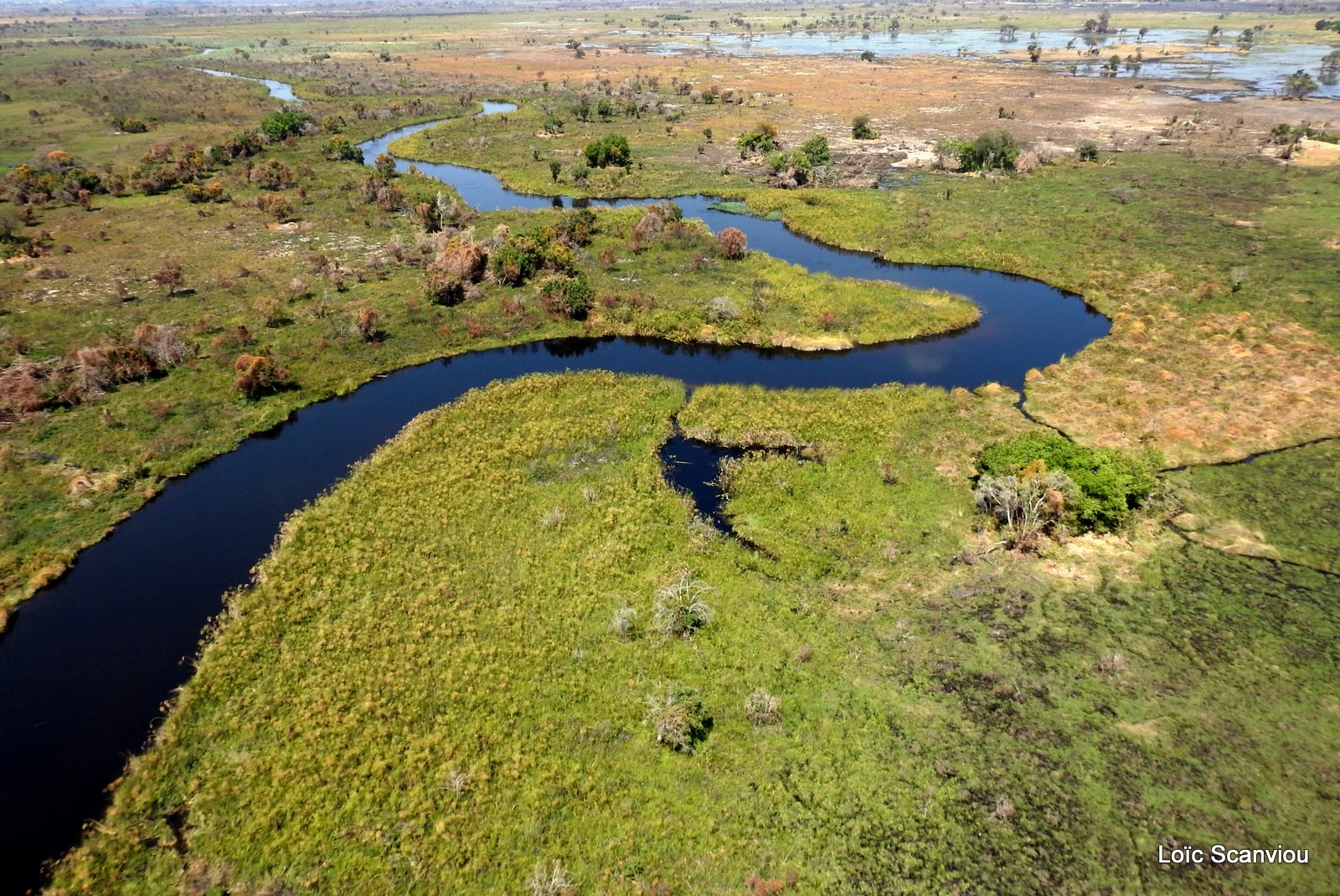 Okavango (77)