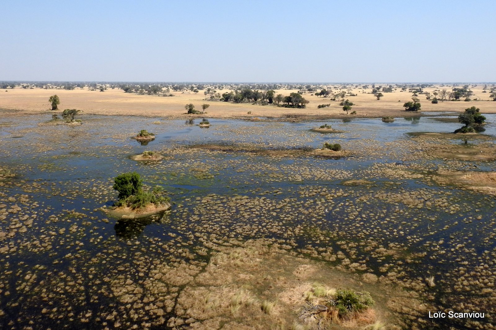 Okavango (80)