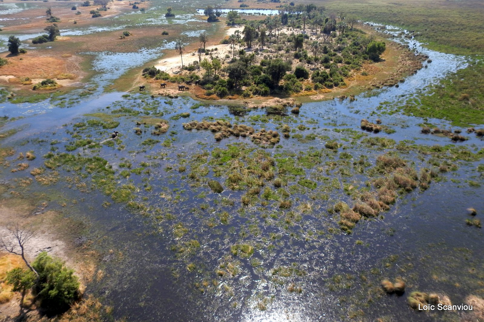 Okavango (81)