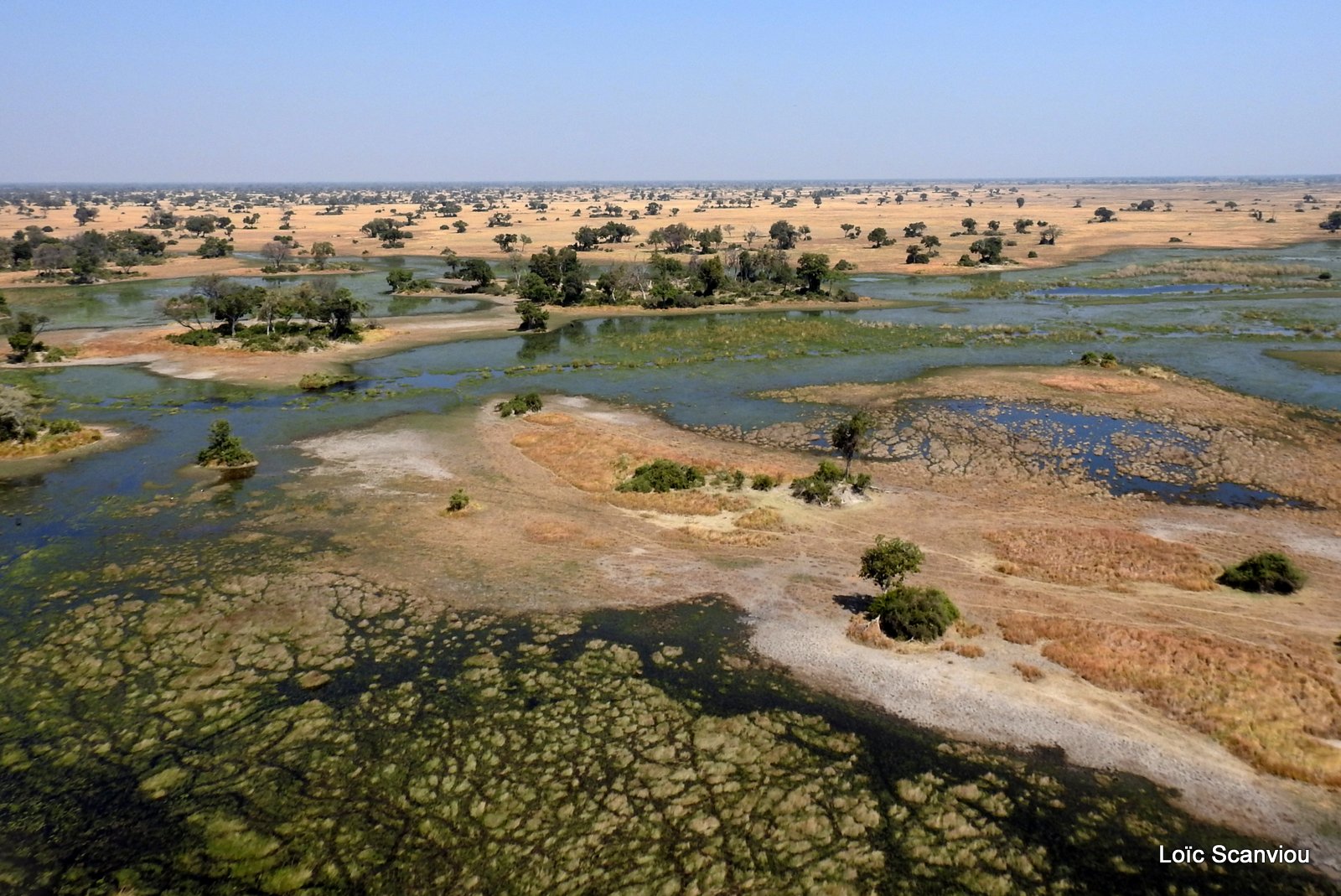 Okavango (83)