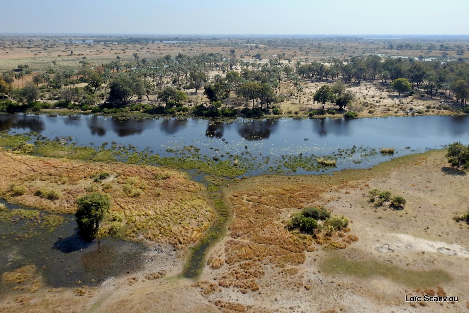 Okavango (85)