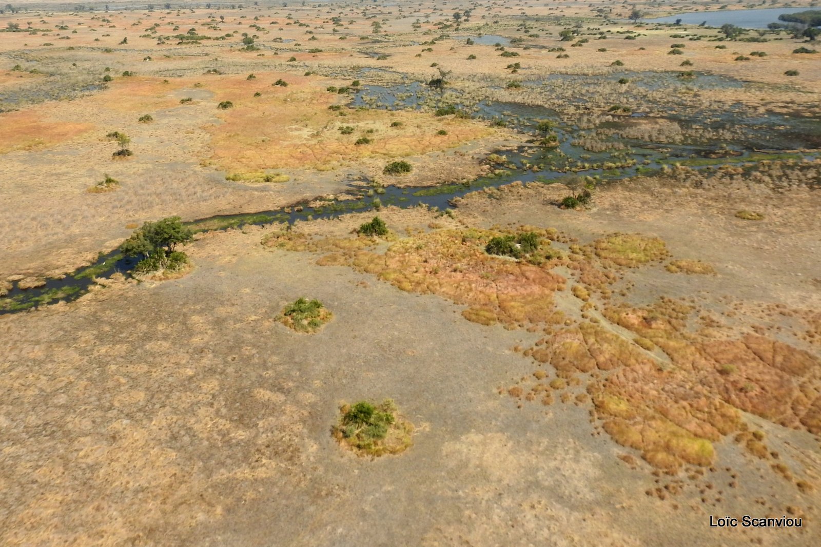 Okavango (86)