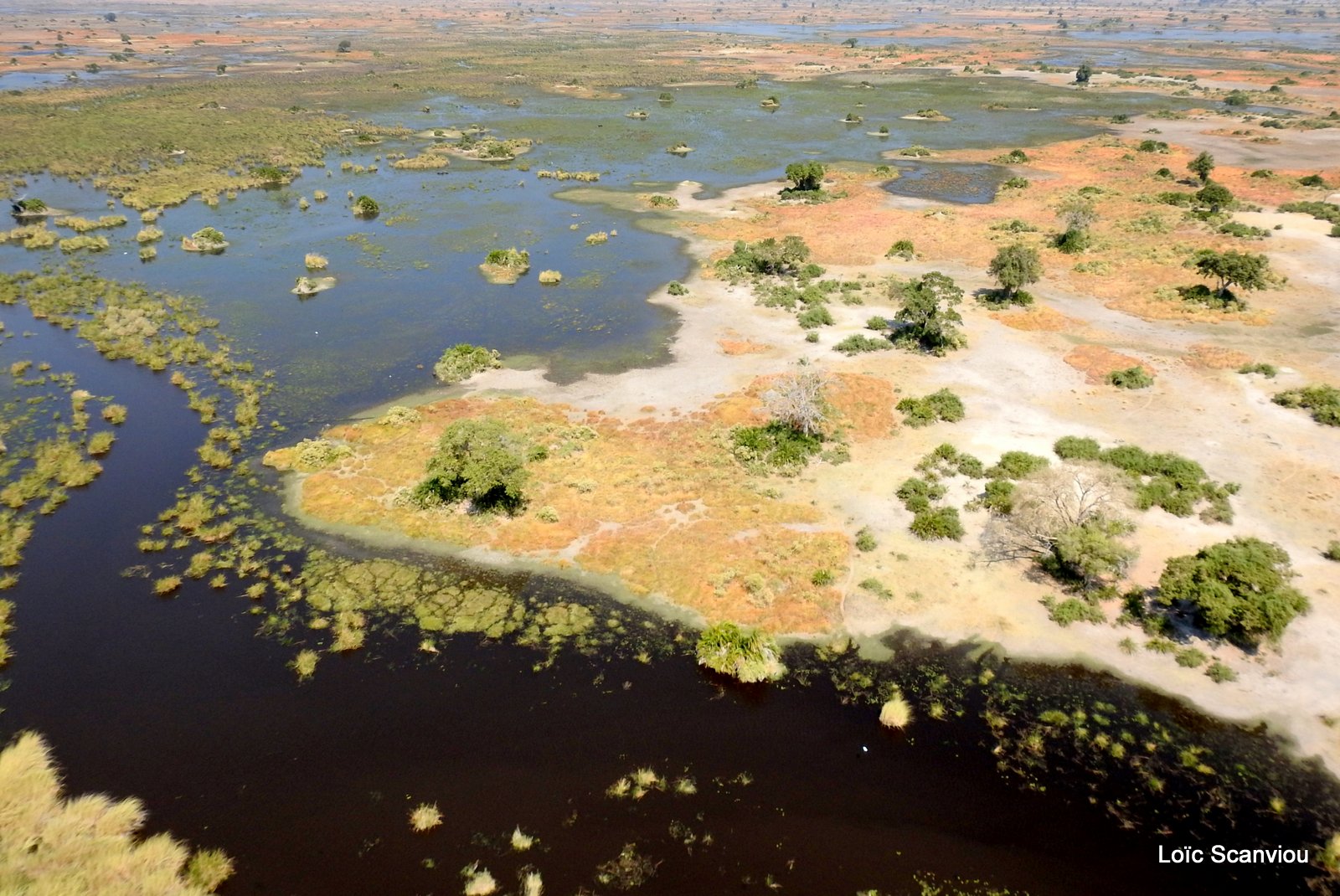 Okavango (90)