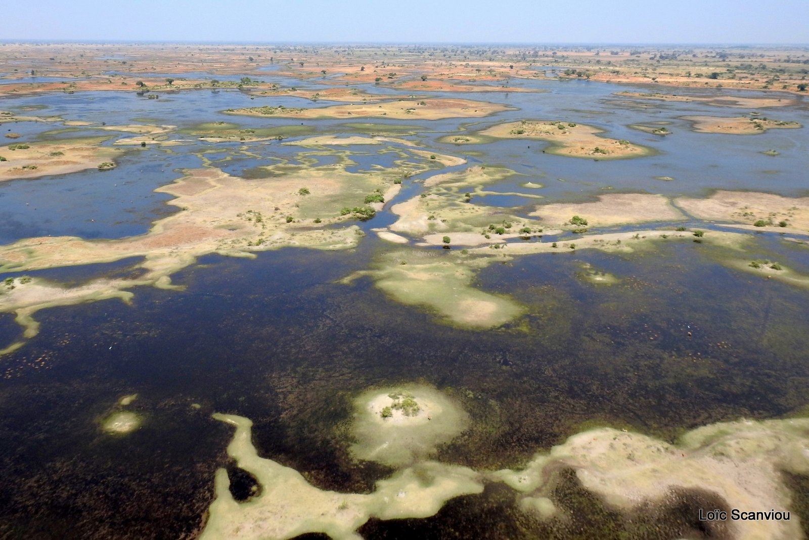 Okavango (92)