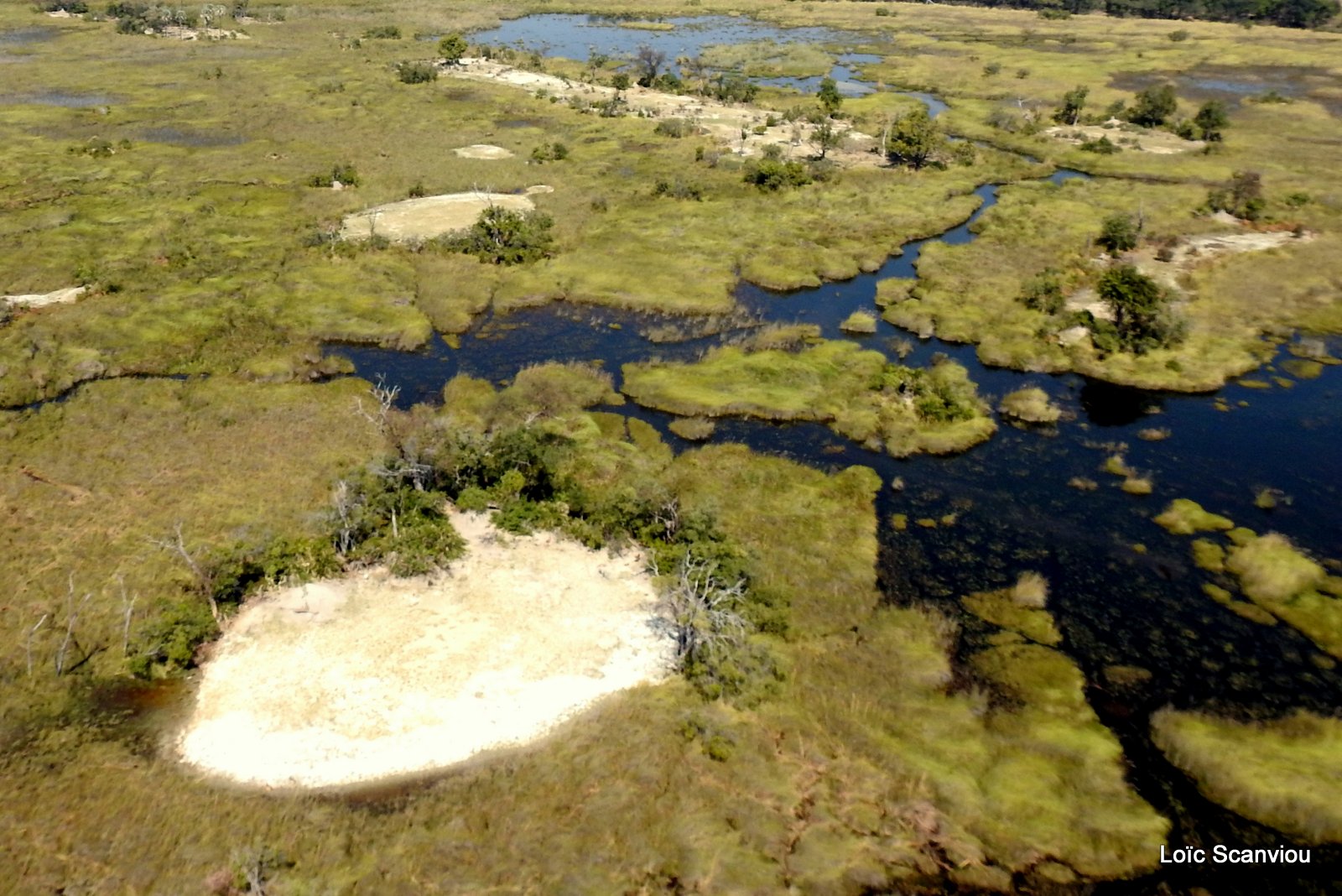 Okavango (93)